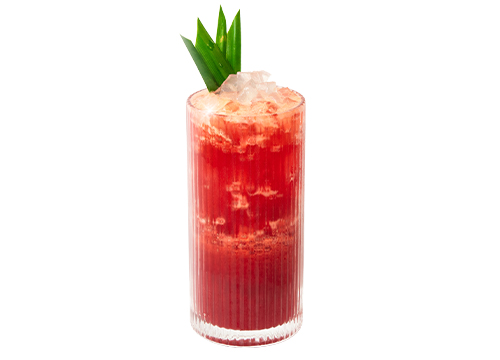 HIBISCUS PASSION AND ALOE VERA TEA